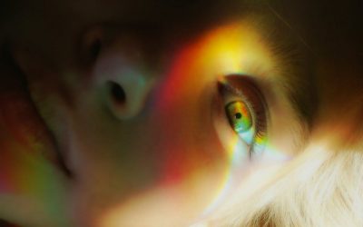 Dream Machine : une illumination cérébrale